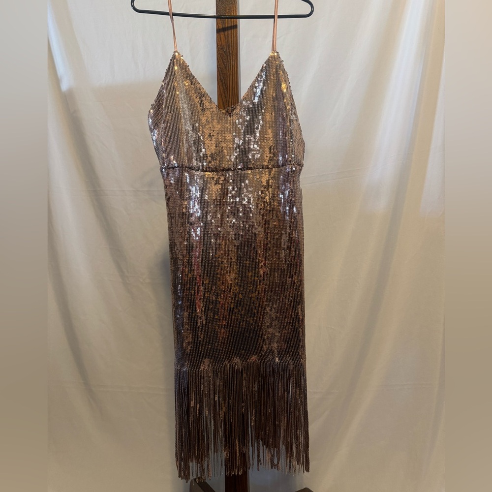 NWT Superdown Sequin Fringe Dress
